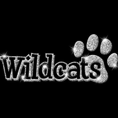 GLT17 SILVER GLITTER Thumbnail